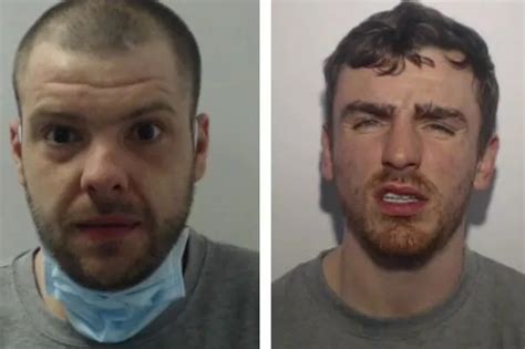 escort lavis|Two Spice dealers jailed after £50k worth of the drug found in raids